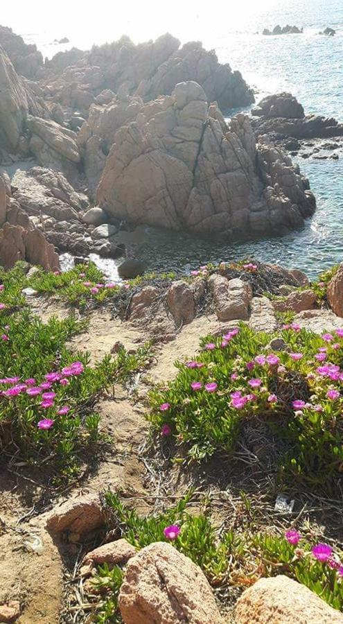 Casa Vacanze Villa Sandrina كوستا باراديسو المظهر الخارجي الصورة
